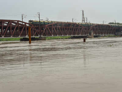 This could be the cleanest Yamuna has been this year