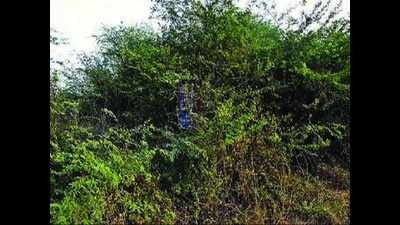 Monumental neglect prevails at rural areas in Krishna and Guntur districts