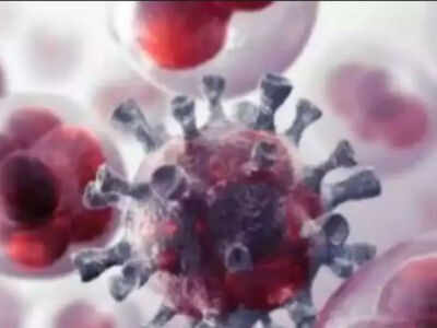 Switching off protein may boost efficacy of cancer treatment: Study