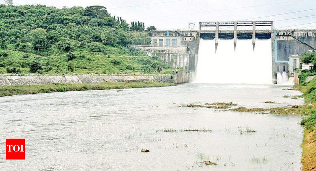 Dams nearing completion but no work done on canals Nagpur News