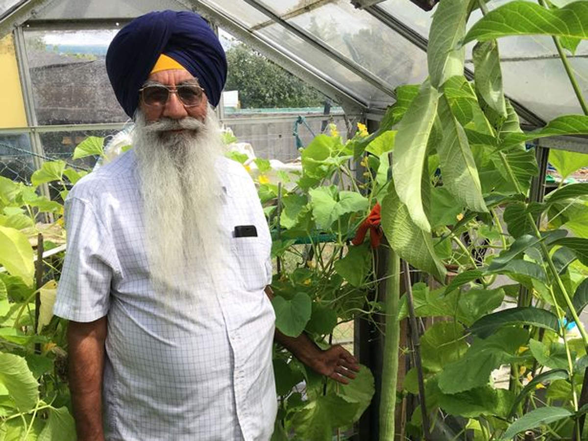 Indian Origin Man In Uk Grows World S Longest Cucumber Says Prayer Is His Secret To Success Times Of India