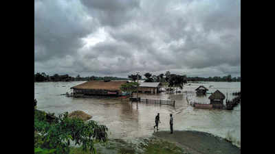 87,000 hit by flood in Assam; 41 dead since June