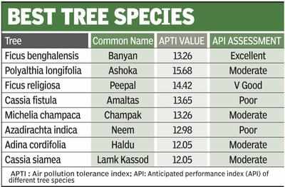 Ahmedabad: Trees are our shield against pollutants