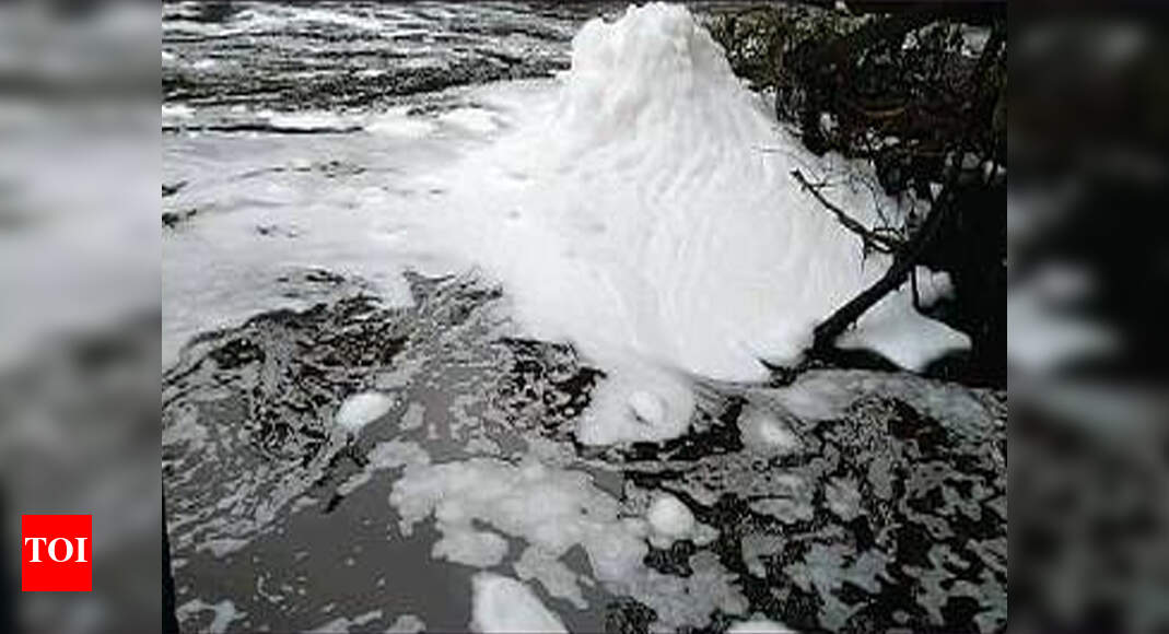 Water Pollution: Arvalem water to be tested following reports of ...