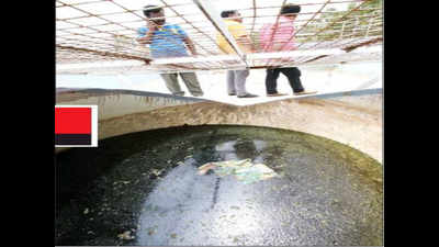 Bengaluru’s treated water wrecks farmers in Kolar
