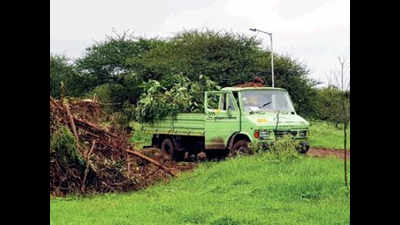 More green waste offloaded on Pachgaon Parvati hilltop