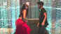 Watch: Nora Fatehi's impromptu dance