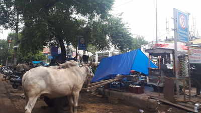 Traffic jam due to occupied footpath