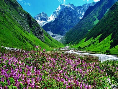 Biodiversity in Valley of Flowers undergoing changes' | Dehradun News -  Times of India