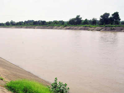 Gujarat: Tappar dam in Kutch to get Narmada water to meet crisis ...