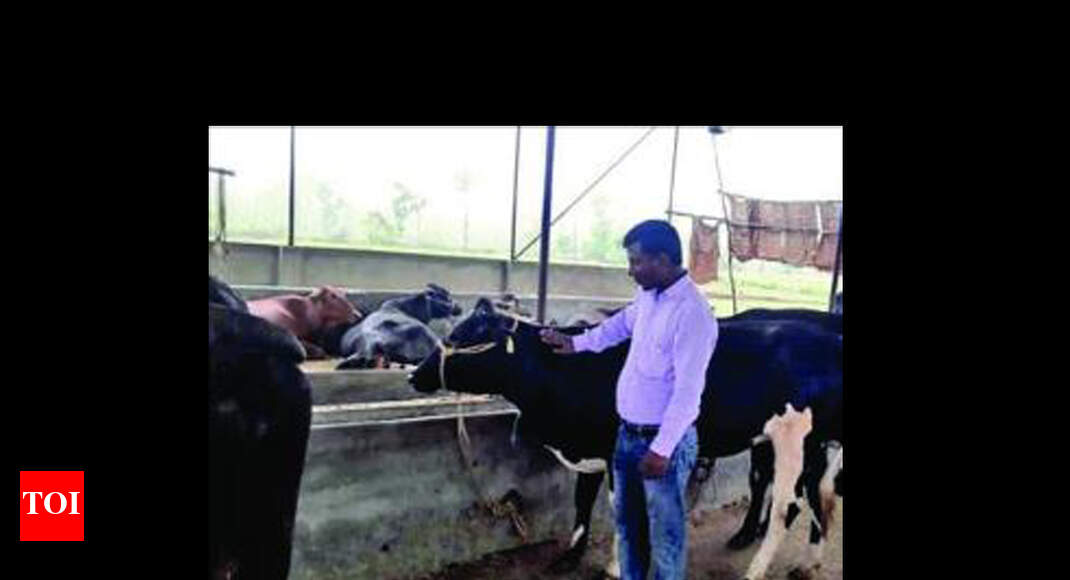 Uttarakhand to get over 11,000 Army cattle at Rs 4,000 each by October