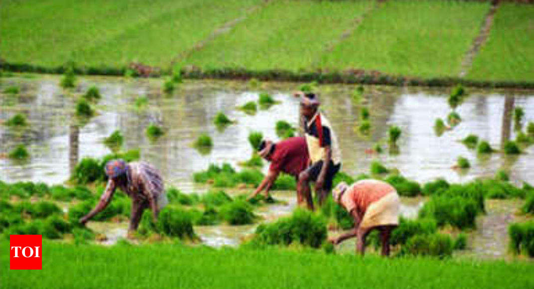 farmers-will-get-to-harvest-crop-before-land-is-taken-for-roads-india