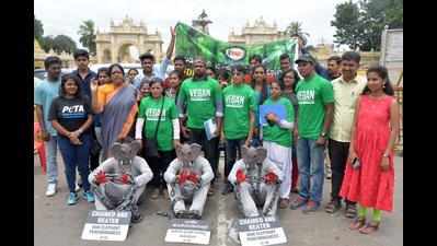 Using elephants for Dasara procession is illegal, says PeTA