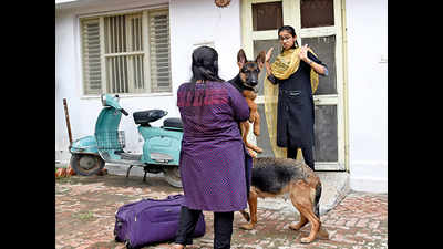 No room for pet lovers in Lucknow?