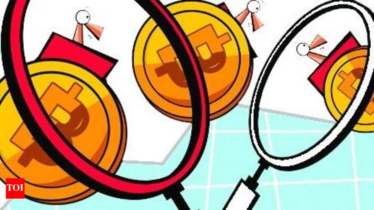 5. A $3 billion bitcoin scam in Gujarat - The Times of India