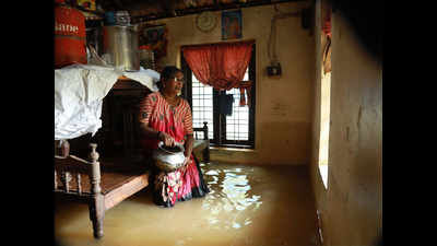 Alappuzha: Mother, daughter drown in flood-hit Kuttanad