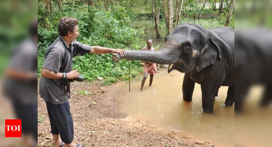 Elephnt Whisperer Anand Shinde The Elephant Whisperer Of Mumbai Times Of India