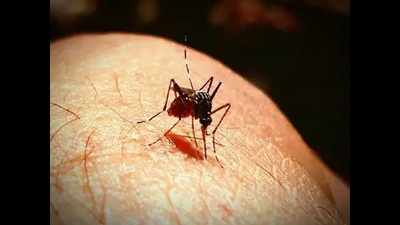 8,000 chikungunya cases in 7 months; Karnataka tops national chart
