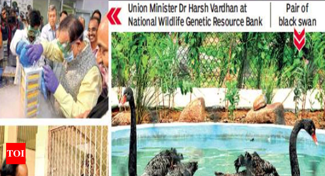India's first genetic bank for wildlife conservation | Hyderabad News -  Times of India