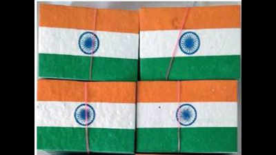 This Independence Day, turn your tricolour into a sapling