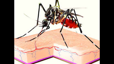 128 malaria, 64 dengue cases in Delhi this season