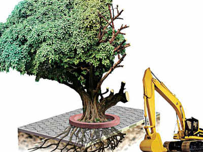 Seek permission to trim a tree even if it is about to crash: HC