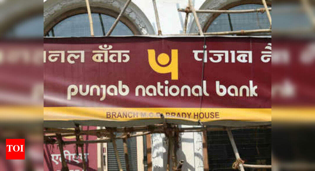 Will go ahead with planned reforms: PNB - Times of India
