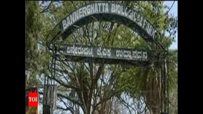 Karnataka didn’t act on Bannerghatta eco zone draft notification: Centre