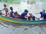 Kerala flood pictures