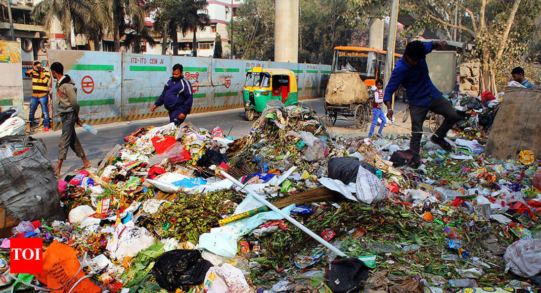 Set up a panel to plan city garbage disposal SC to LG Delhi News