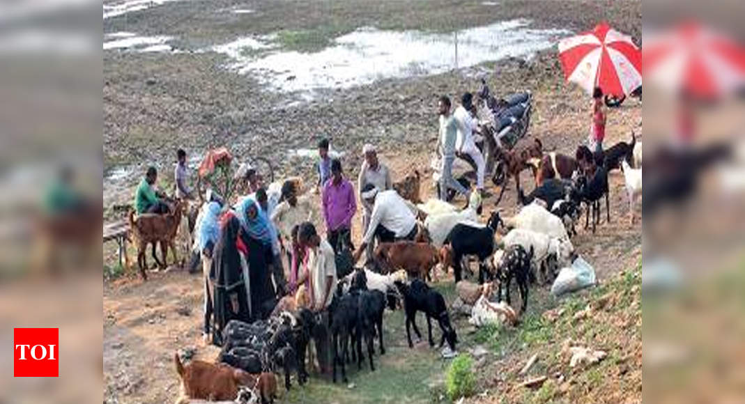 Bakrid Three Days Away, Goat Market Ground Waterlogged 