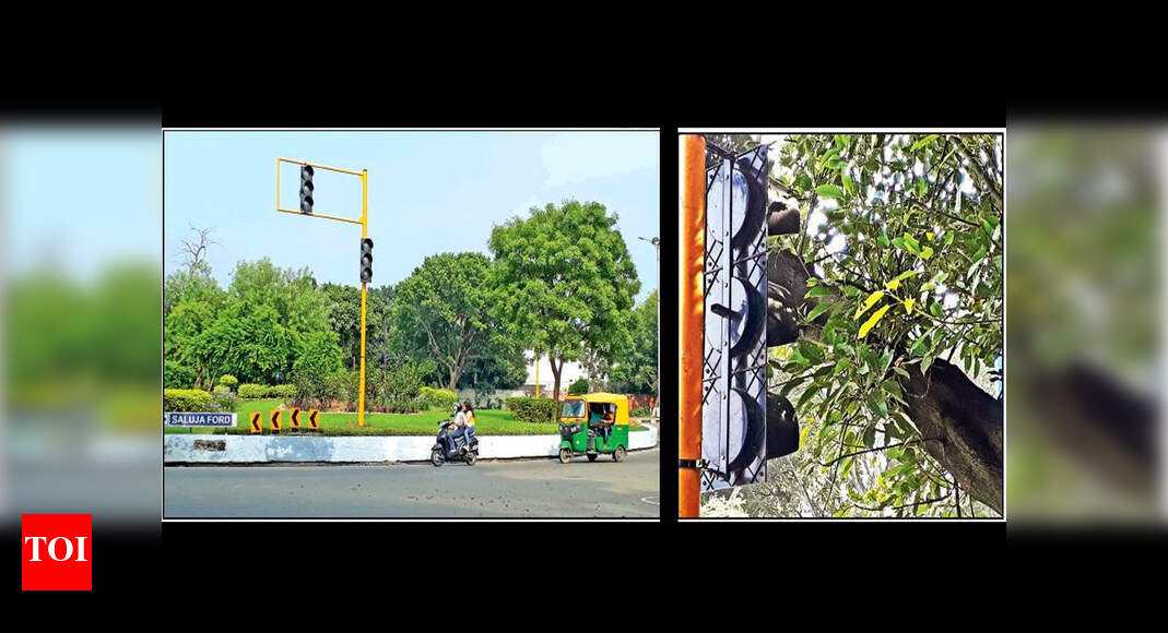 Manage Traffic Chandigarh to have more traffic lights soon
