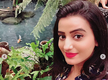 Akshara: Movies, Photos, Videos, News & Biography eTimes