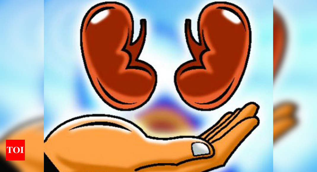 Delhi: 73-year-old gets both kidneys transplanted | Delhi News - Times of  India