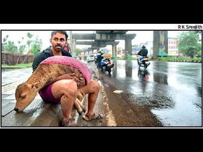 Call centre set up in Mumbai to rescue stranded animals | Mumbai News -  Times of India