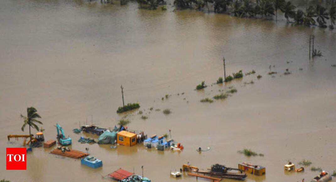 50% cattle in flood-hit Kerala areas feared dead | Thiruvananthapuram News - Times of India 50% cattle in flood-hit Kerala areas feared dead | Thiruvananthapuram News - Times of India