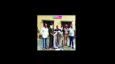 2 held with leopard skins