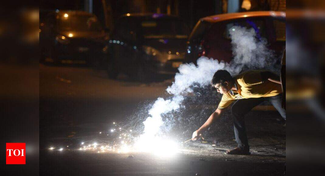 Centre opposes blanket ban on firecrackers India News Times of India