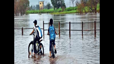 After spells, rain deficit only in Nandurbar amd Sangli districts