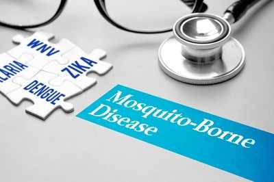 Mosquito-borne diseases that everyone should know about