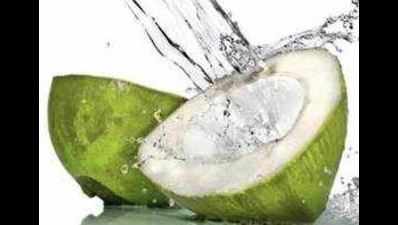 Elixir or poison? Coconut water killing meat cells