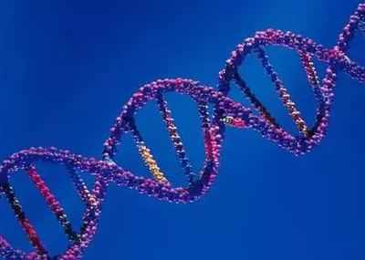 Congress opposes DNA profiling, calls it violative of privacy