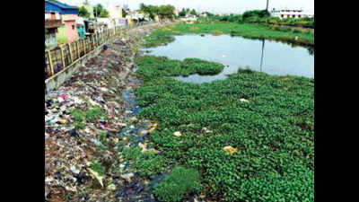 Canals that protect Chennai from floods clogged with sewage, weeds & waste