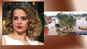 Kerala floods: Kangana Ranaut donates Rs 10 lakh