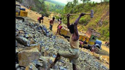 Illegal mining near Kaziranga National Park: Report sought from Karbi Anglong SP