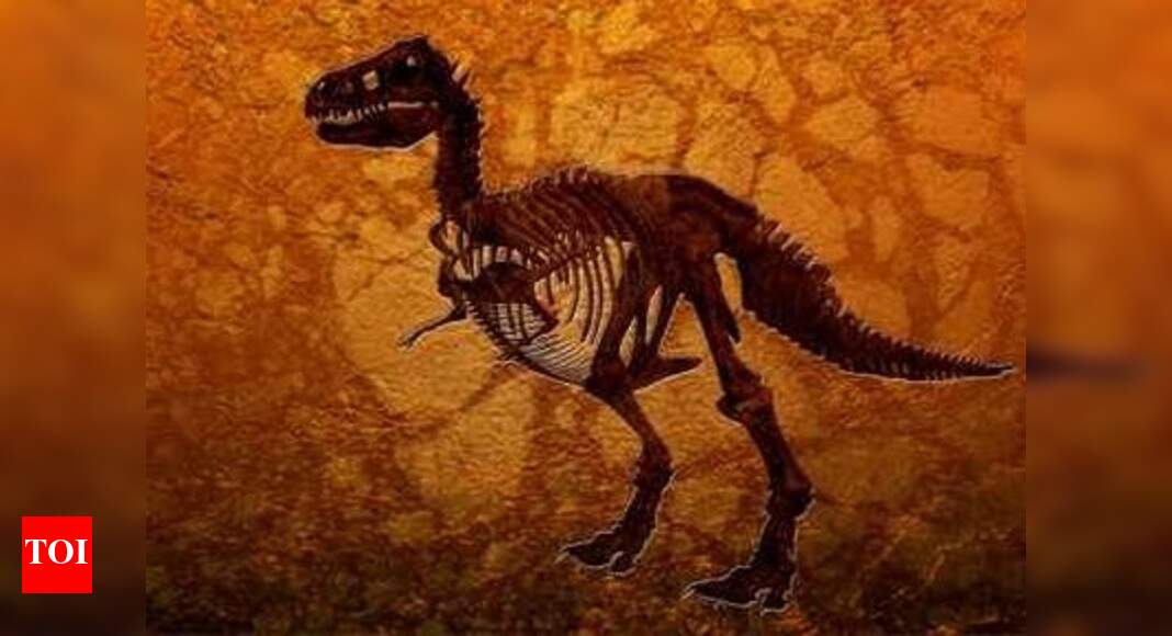 DNA analysis may decode how dinosaurs looked - Times of India