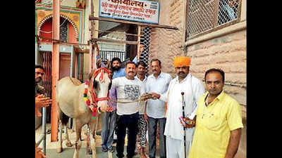Jaisalmer: At Ramdev Baba temple devotees offer horses