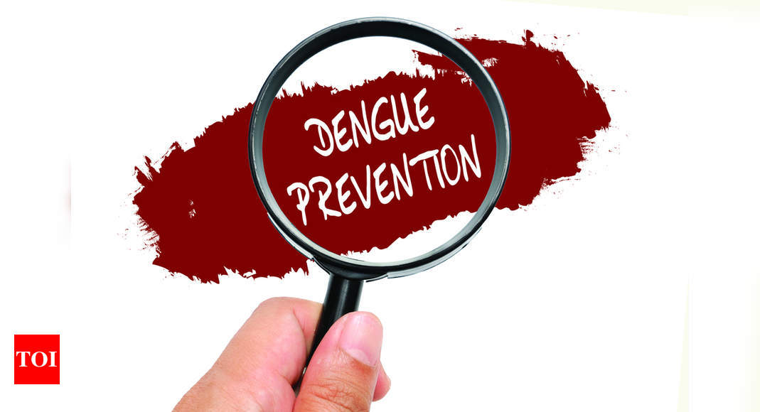 How To Prevent Dengue From Spreading Times Of India