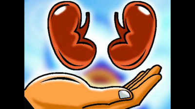 Punagam resident’s liver saves Surendranagar man’s life