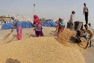 India's foodgrain production touched new high in 2017-18